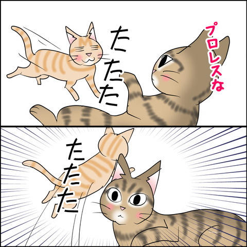あんこ&麦STORY2425c
