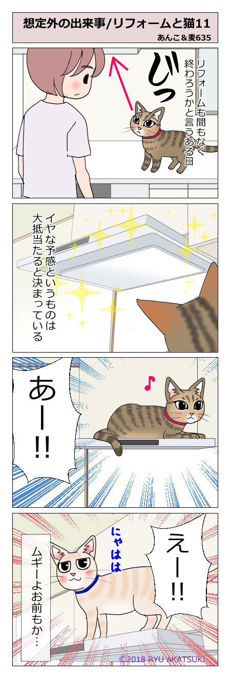 あんこ&麦STORY635