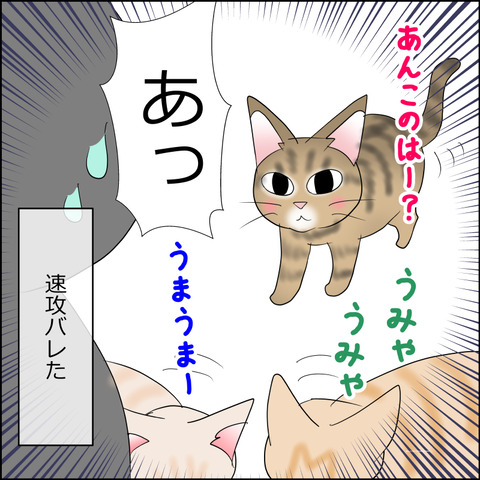 あんこ＆麦STORY2311d