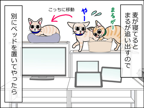 あんこ&麦STORY1565a
