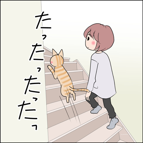 mugitabi029b
