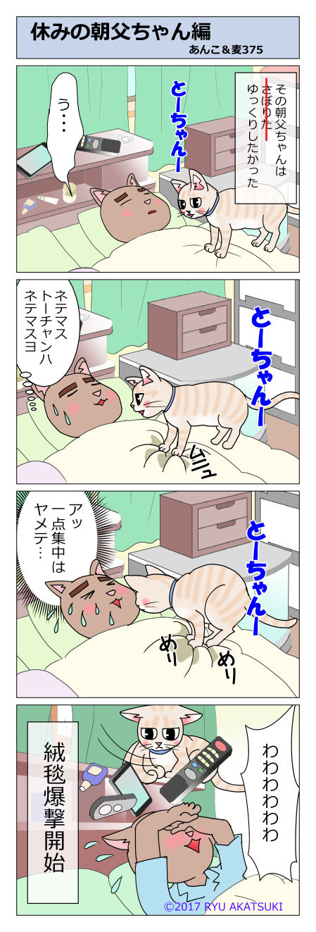 あんこ&麦STORY375