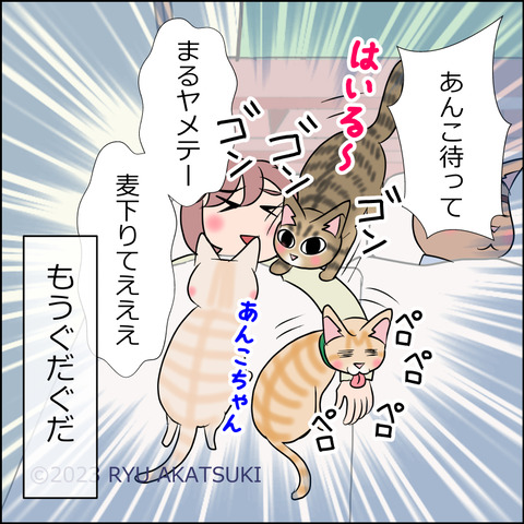 あんこ&麦STORY1772d