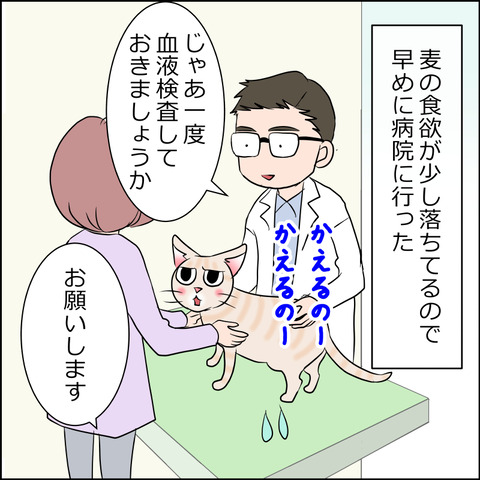 あんこ＆麦kenko79a