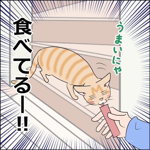 あんこ＆麦STORY2445d