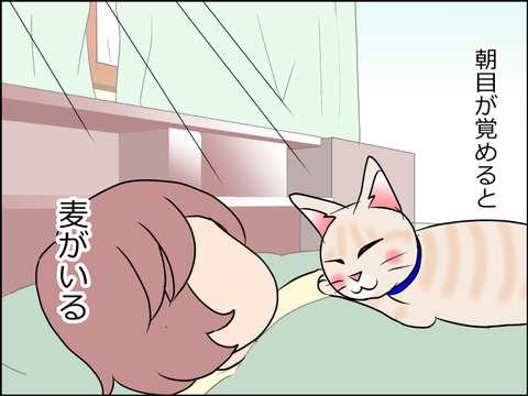 あんこ&麦STORY1573a