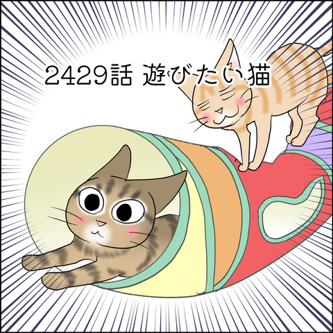 あんこ＆麦STORY2429@