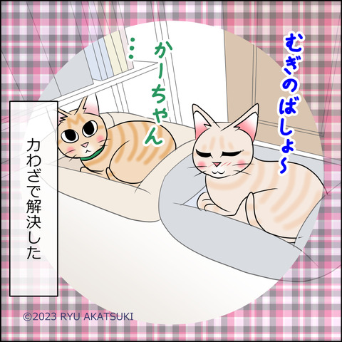 あんこ＆麦STORY2034d