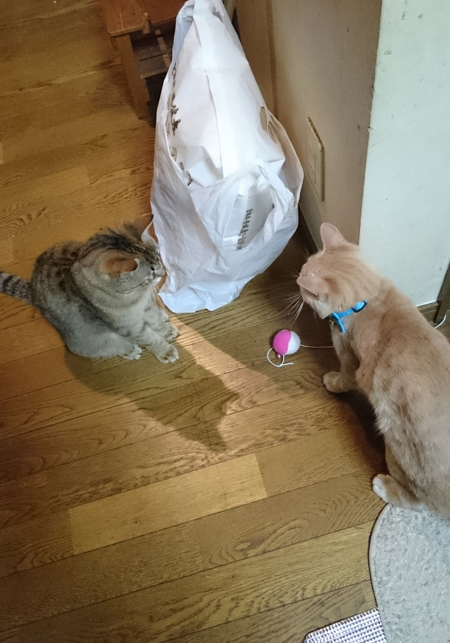 DSC_0340