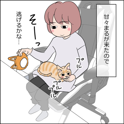 あんこ&麦STORY2499a