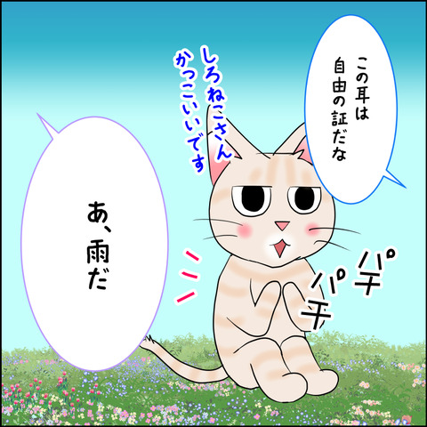 mugitabix016d