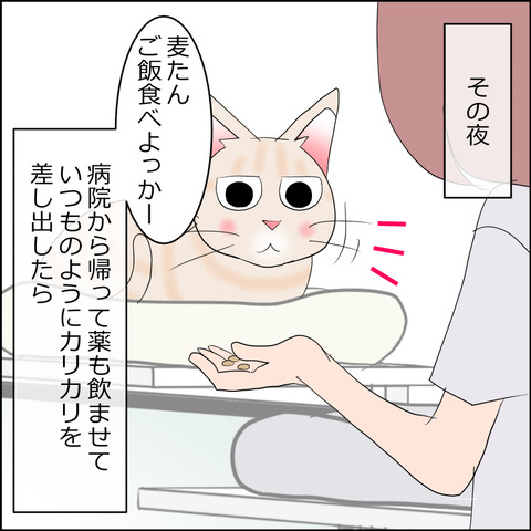 あんこ＆麦kenko128d