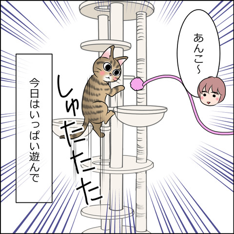 あんこ&麦STORY2074a