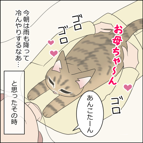 あんこ&麦STORY2438b