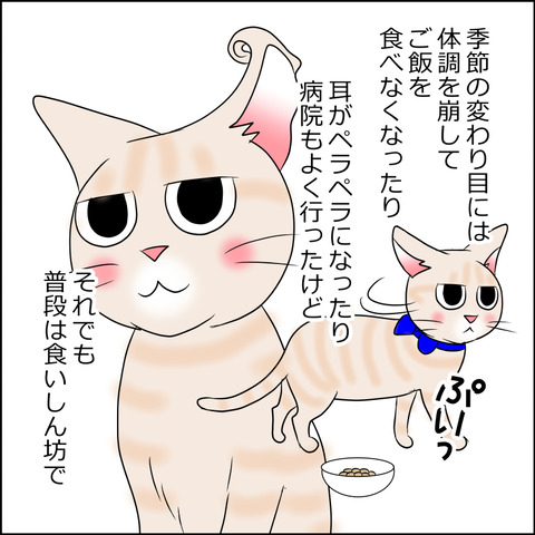 あんこ＆麦STORY2089c