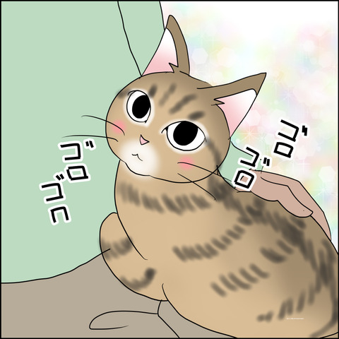あんこ&麦STORY2430b