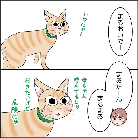 あんこ＆麦STORY2282b