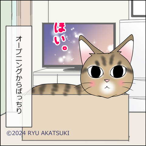 あんこ&麦STORY2074d