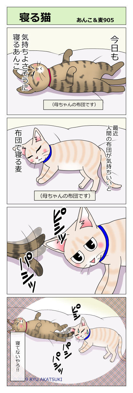 あんこ&麦STORY905