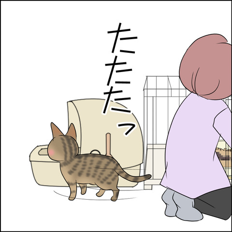 あんこ＆麦STORY2104f