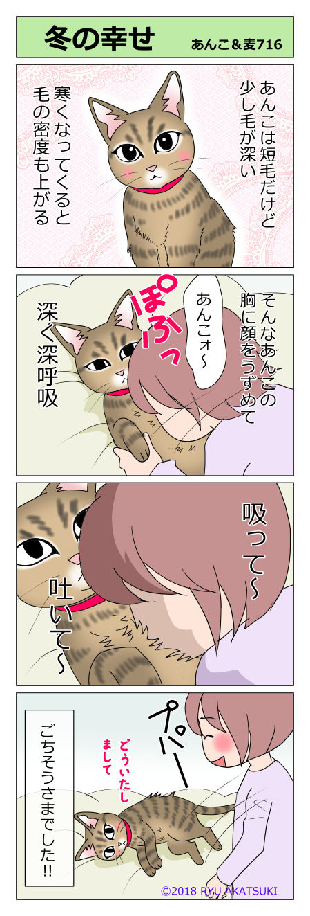 あんこ&麦STORY716