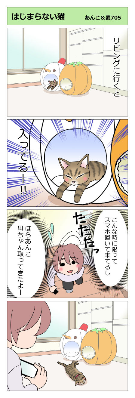 あんこ＆麦STORY705