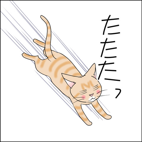 あんこ＆麦STORY2475c