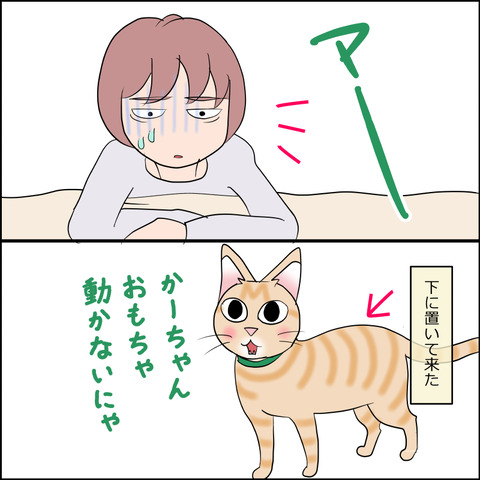 あんこ＆麦STORY2258j