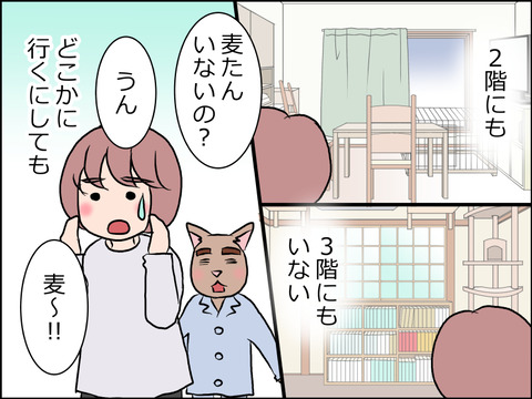 あんこ＆麦STORY1594c