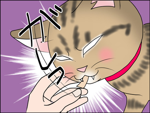 あんこ&麦STORY1471c