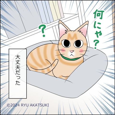 あんこ&麦STORY2036d