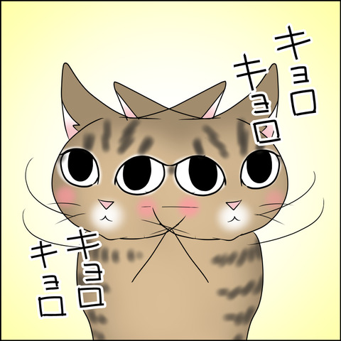 nekokita013c
