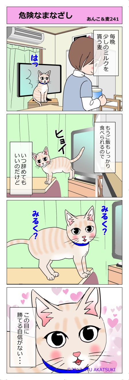 あんこ&麦STORY241
