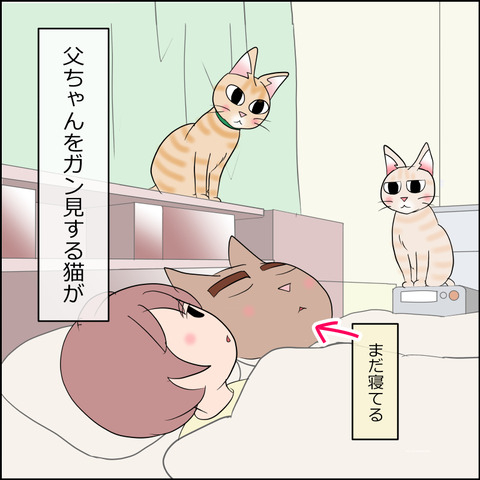 あんこ＆麦STORY2278b