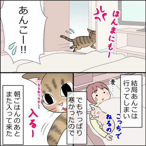 あんこ＆麦STORY2228e
