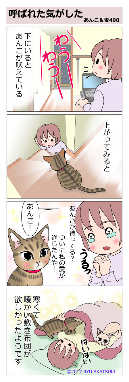 あんこ＆麦STORY490