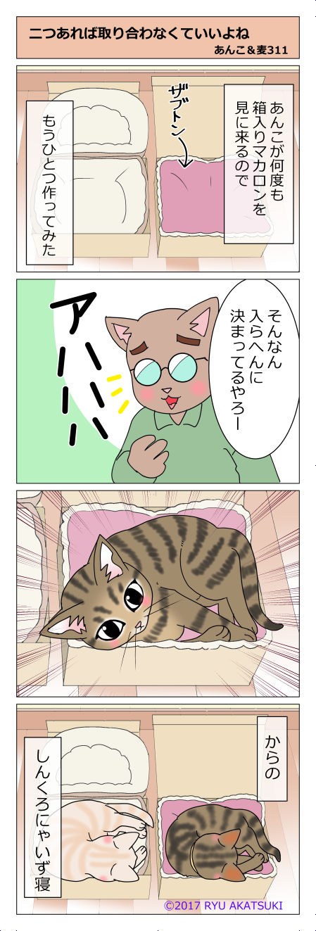 あんこ＆麦STORY311