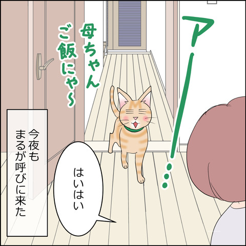 あんこ&麦STORY2333a