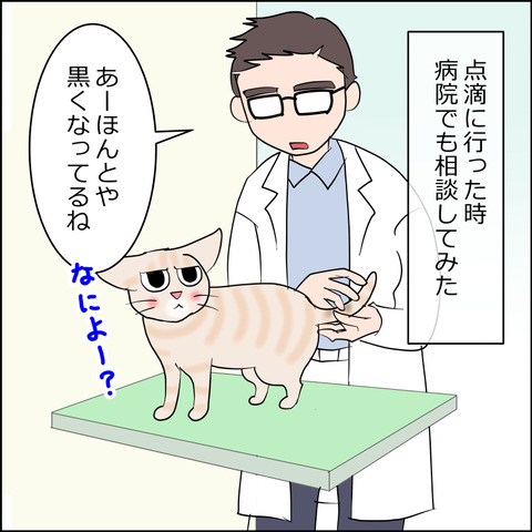 あんこ＆麦kenko133c