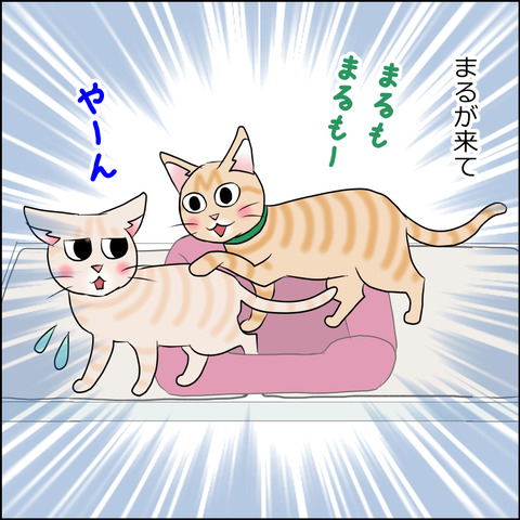 あんこ＆麦STORY1796b