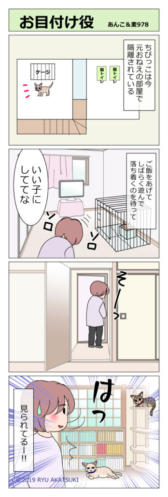あんこ 麦978 お目付け役 猫まんが あんこと麦と Powered By ライブドアブログ あんこ 麦978 お目付け役 猫まんが あんこと麦と Powered By ライブドアブログ