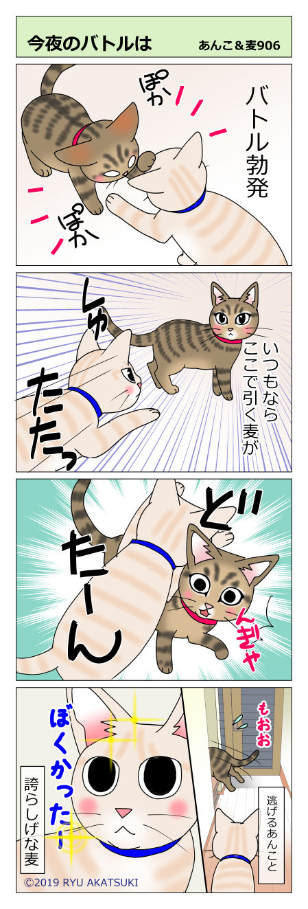 あんこ&麦STORY906