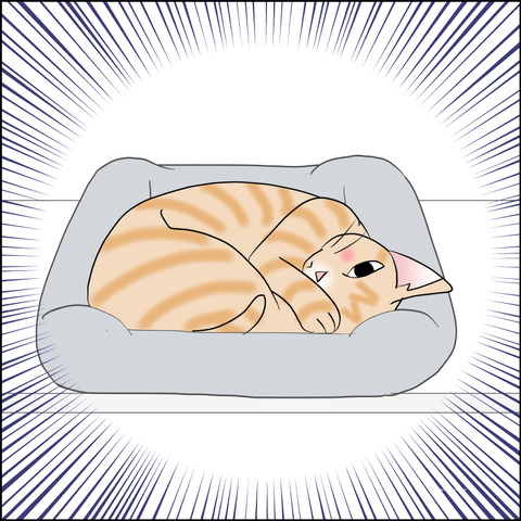 あんこ＆麦STORY2439c