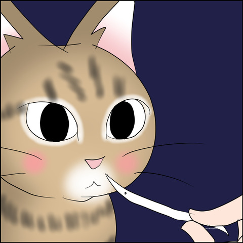 あんこ&麦STORY2473d