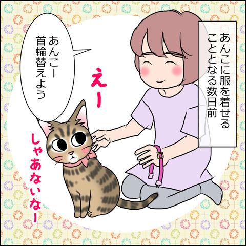 まさかの ハゲ あんこの舐めハゲ あんこと麦と Powered By ライブドアブログ