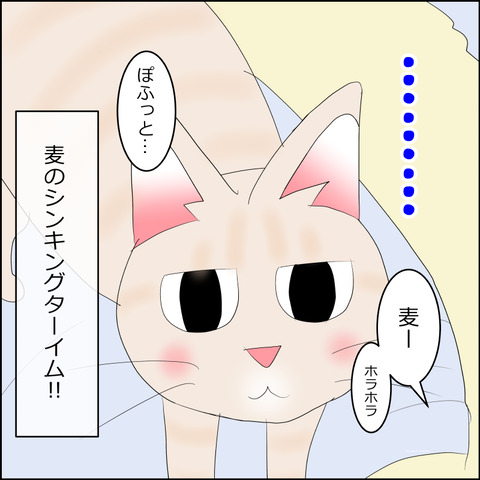あんこ＆麦STORY2358c