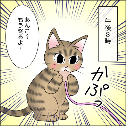 あんこ＆麦STORY2048a