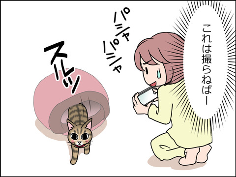 あんこ&麦STORY1475c