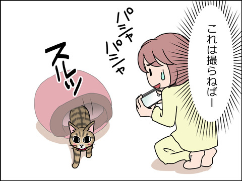 あんこ＆麦STORY1475c