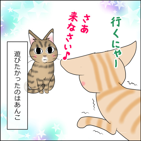 あんこ＆麦STORY2429d